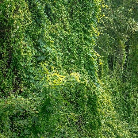 Turisticna Kmetija Stanfel Βίλα Podsabotin Εξωτερικό φωτογραφία