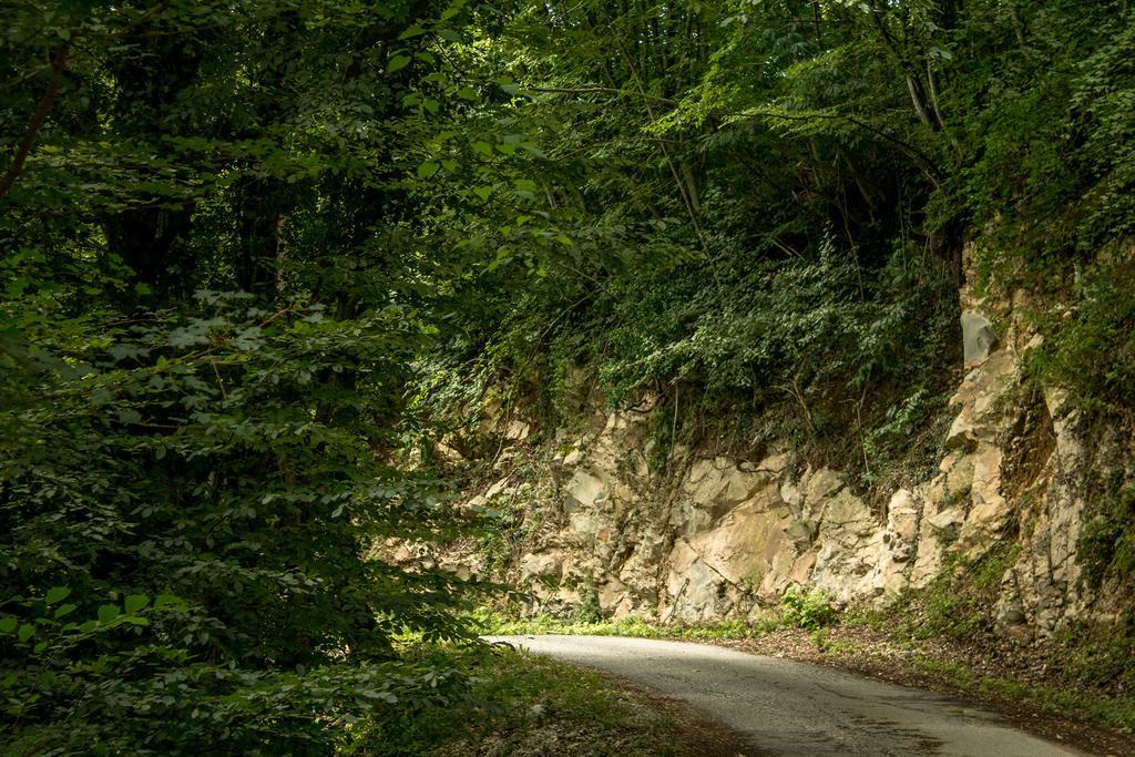 Turisticna Kmetija Stanfel Βίλα Podsabotin Εξωτερικό φωτογραφία