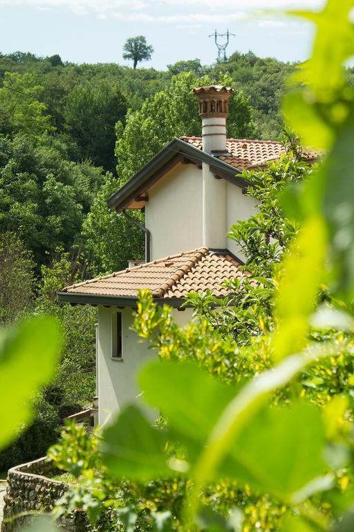 Turisticna Kmetija Stanfel Βίλα Podsabotin Εξωτερικό φωτογραφία